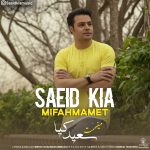 دانلود آهنگ سعید کیا میفهممت